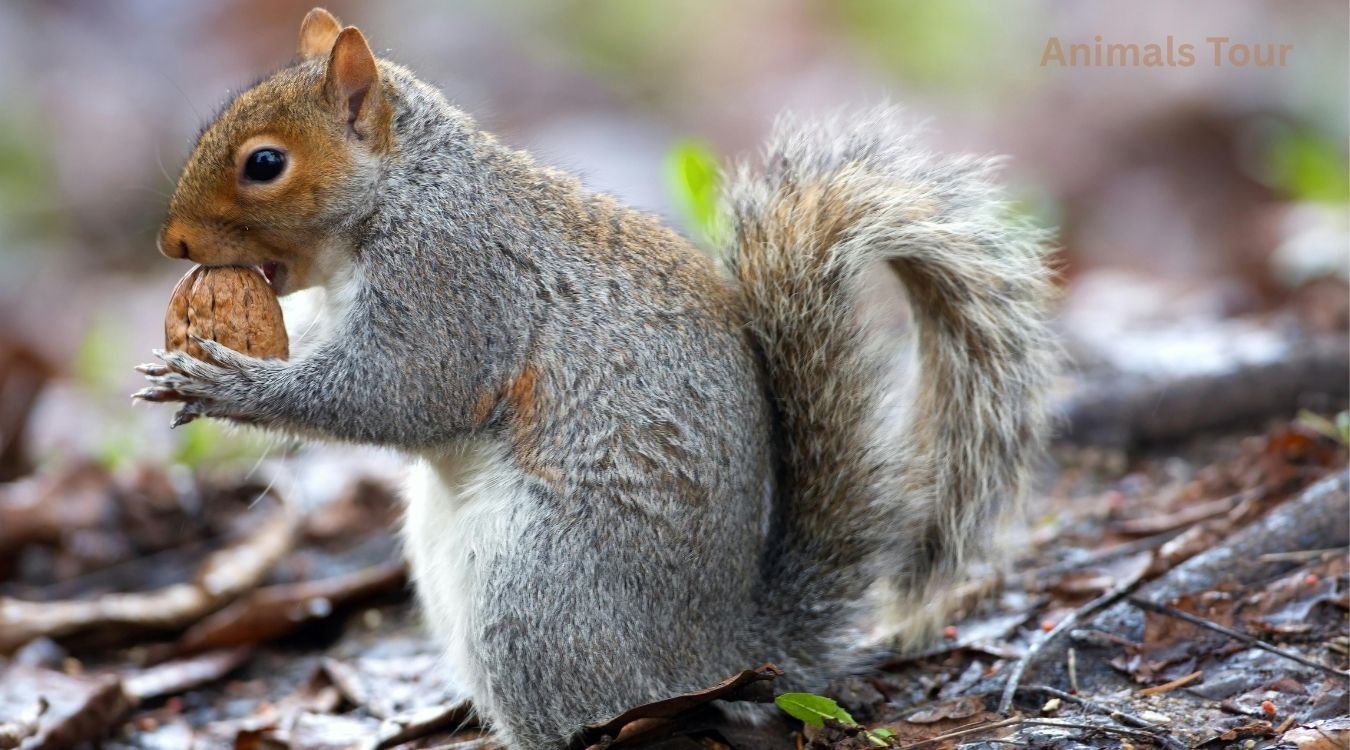 greedy animals in the world