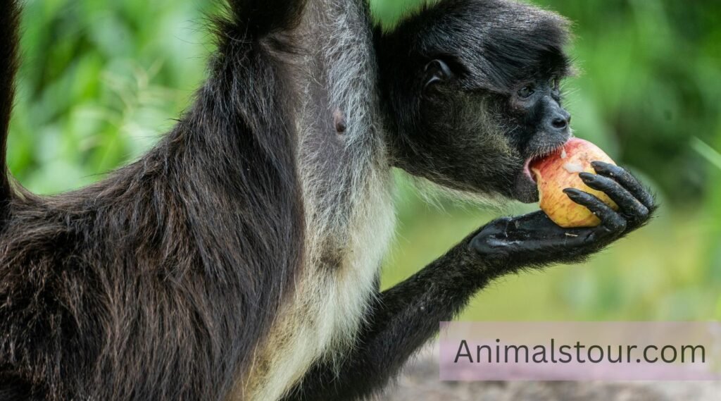 flexible animals in the world